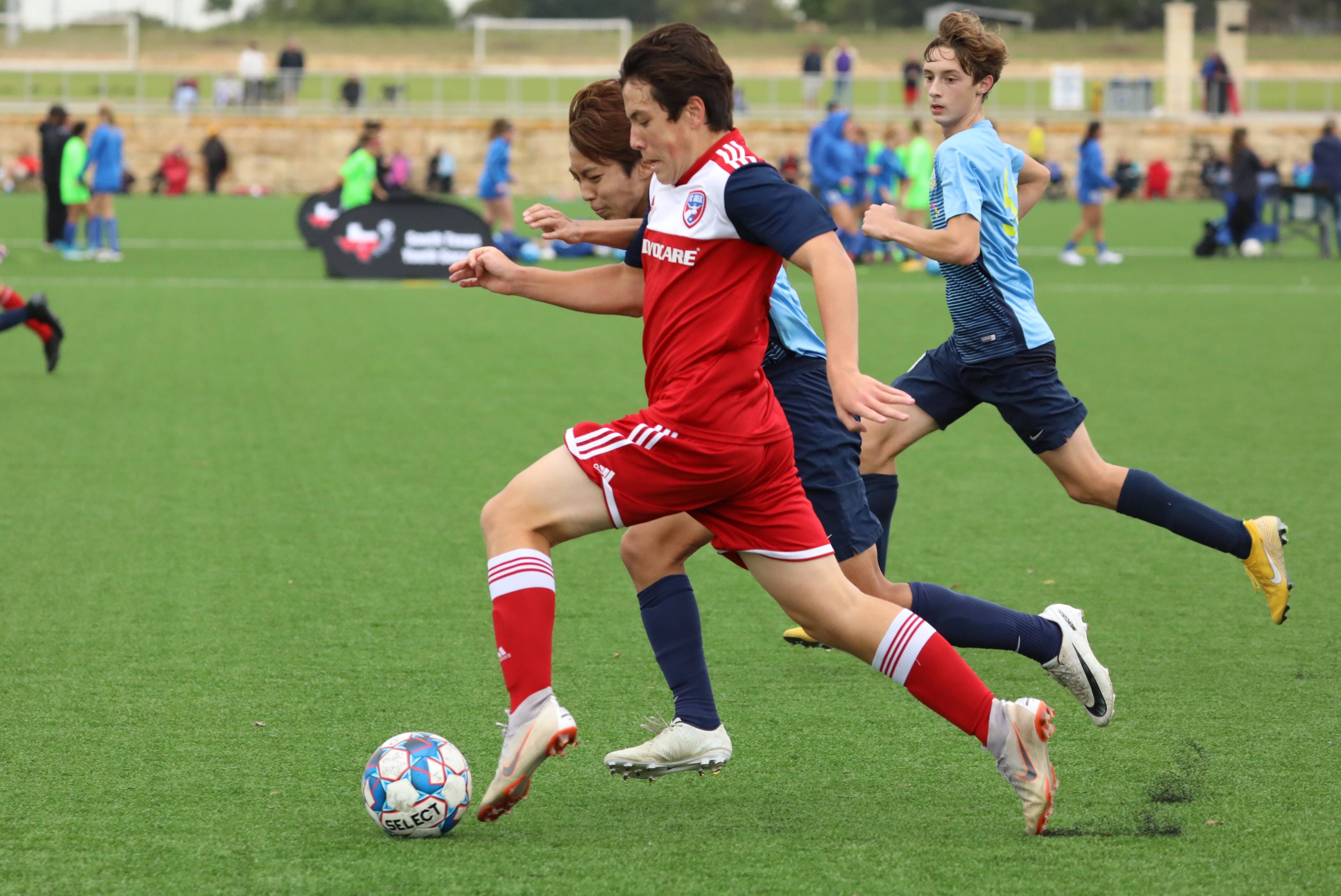 利队的焦点 利队的焦点