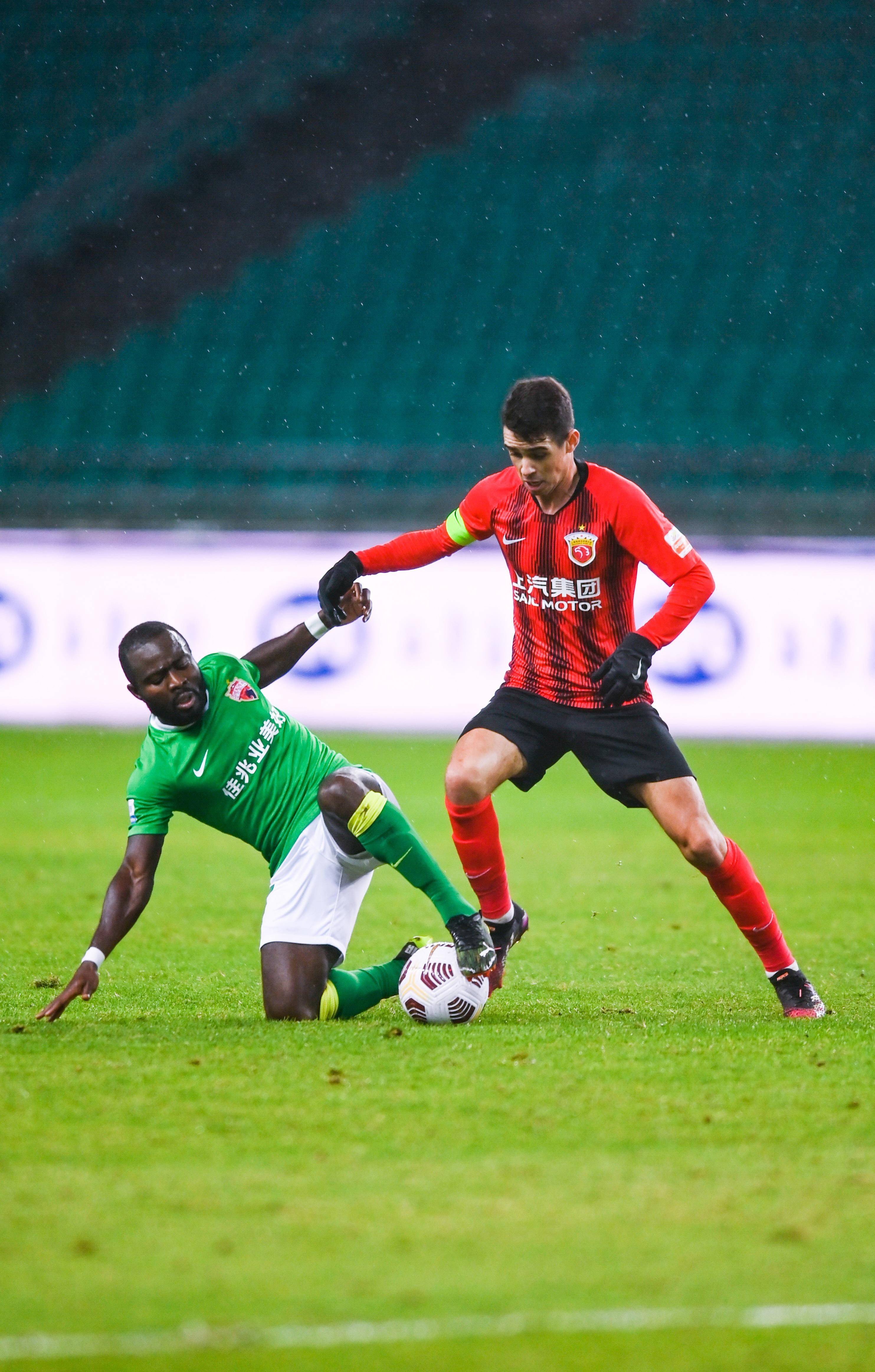 新的生机 新的生机